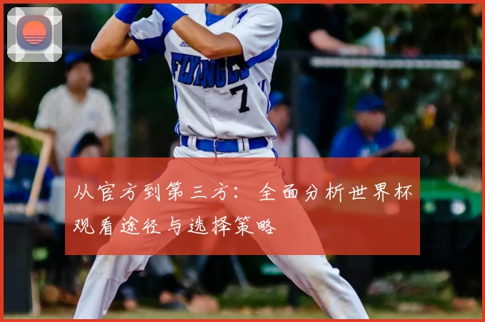 从官方到第三方:全面分析世界杯观看途径与选择策略
