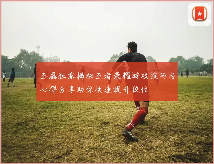王磊独家揭秘王者荣耀游戏技巧与心得分享助你快速提升段位