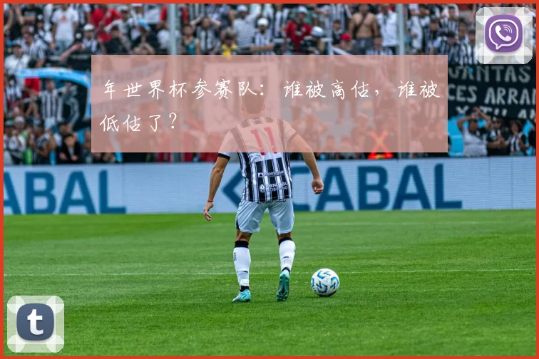 年世界杯参赛队:谁被高估,谁被低估了?