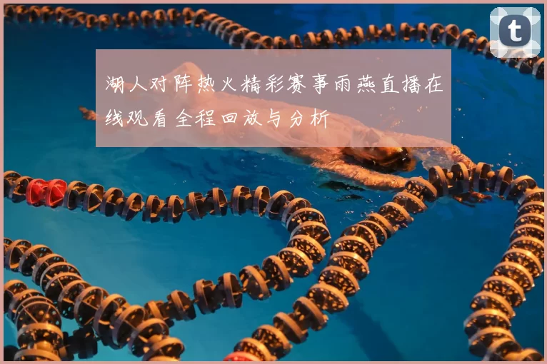 湖人对阵热火精彩赛事雨燕直播在线观看全程回放与分析