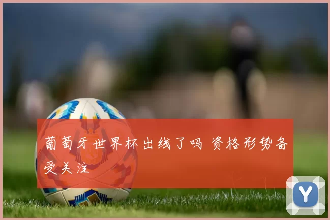 葡萄牙世界杯出线了吗 资格形势备受关注