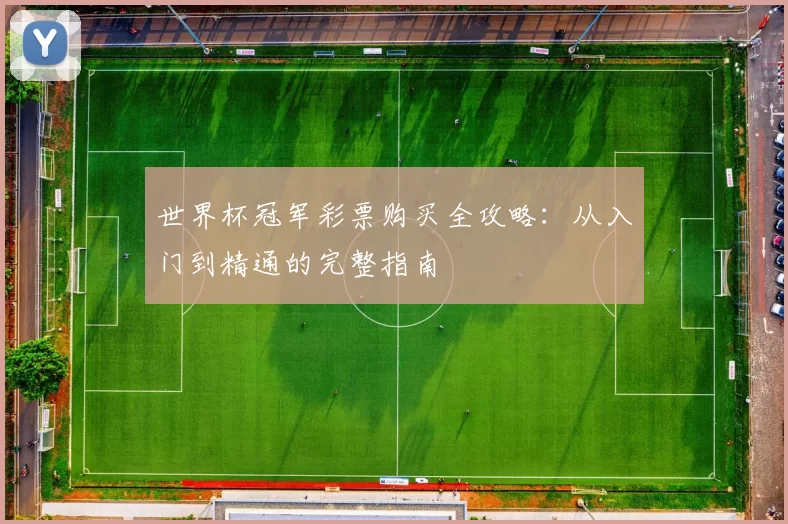 世界杯冠军彩票购买全攻略:从入门到精通的完整指南