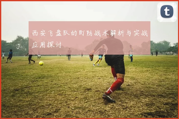 西安飞盘队的盯防战术解析与实战应用探讨