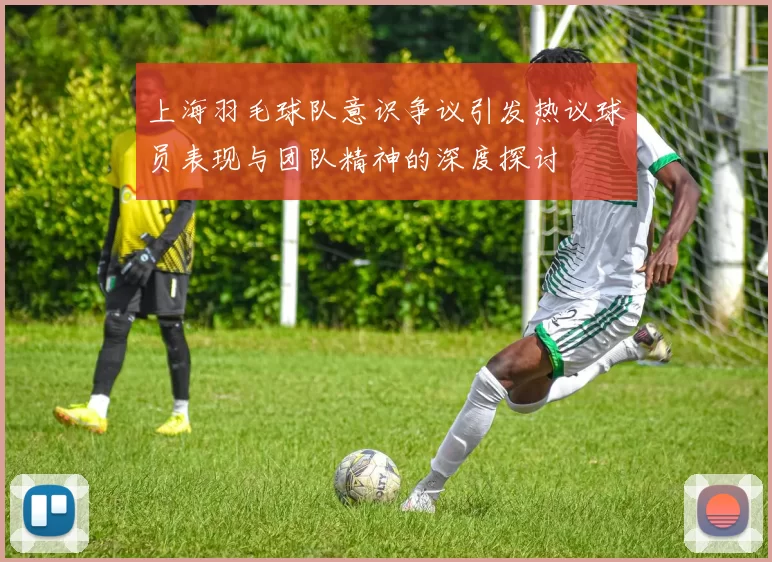 上海羽毛球队意识争议引发热议球员表现与团队精神的深度探讨