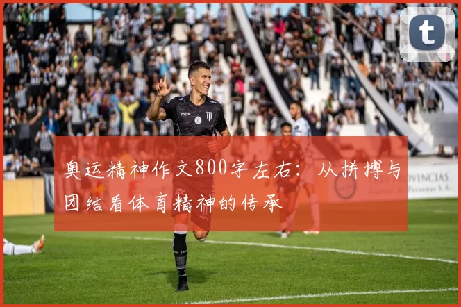 奥运精神作文800字左右:从拼搏与团结看体育精神的传承
