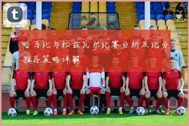 哈马比与松兹瓦尔比赛分析及比分推荐策略详解