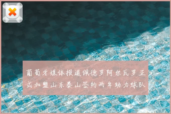 葡萄牙媒体报道佩德罗阿尔瓦罗正式加盟山东泰山签约两年助力球队发展