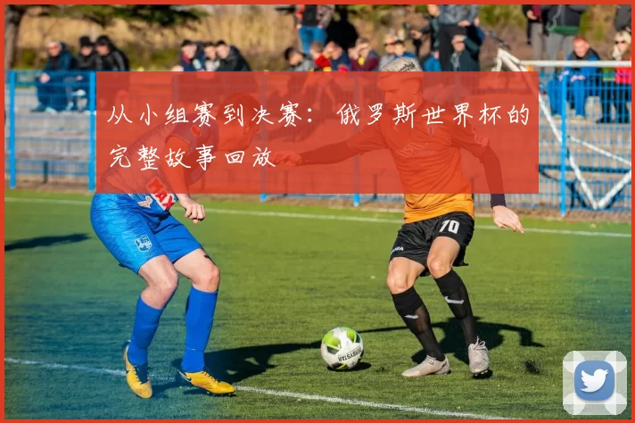 从小组赛到决赛：俄罗斯世界杯的完整故事回放